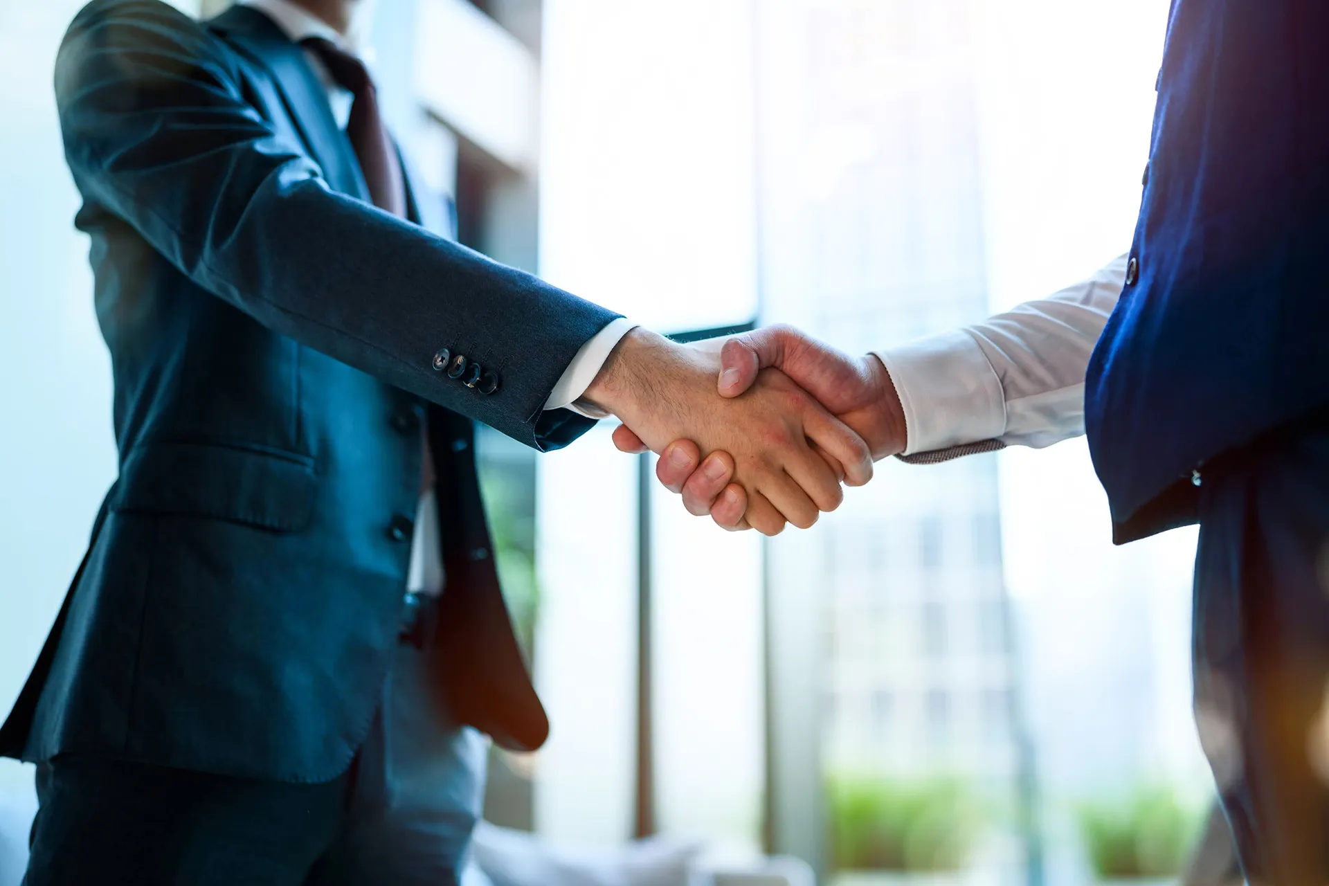 ねむの木行政書士事務所